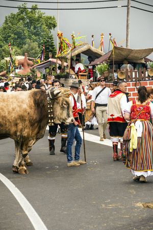 La Orotava, Tenerife, Spain-June 2018. The Pilgrimage of San Isidro Labrador, in La Orotava. The festival is declared of National Tourist Interest and is celebrated after Corpus Christi. The pilgrimage, originated in the seventeenth century, runs through のeditorial素材