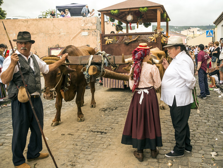 La Orotava, Tenerife, Spain-June 2018. The Pilgrimage of San Isidro Labrador, in La Orotava. The festival is declared of National Tourist Interest and is celebrated after Corpus Christi. The pilgrimage, originated in the seventeenth century, runs through のeditorial素材