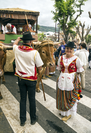 La Orotava, Tenerife, Spain-June 2018. The Pilgrimage of San Isidro Labrador, in La Orotava. The festival is declared of National Tourist Interest and is celebrated after Corpus Christi. The pilgrimage, originated in the seventeenth century, runs through のeditorial素材