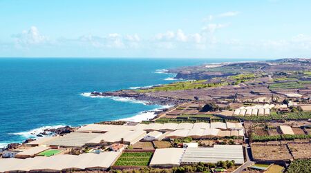 Banana trees by the sea on the island of Tenerifeの写真素材
