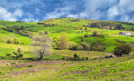 Meadows of Santillana del Mar in the north of Spain in a sunny day