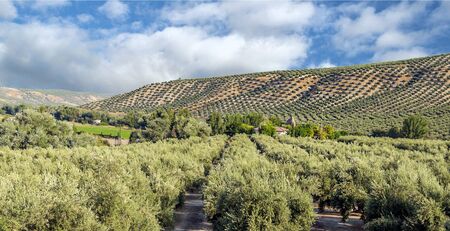 Mountains of Sierra de Cazorla in Andalusia in a sunny day in the south of Spainの写真素材
