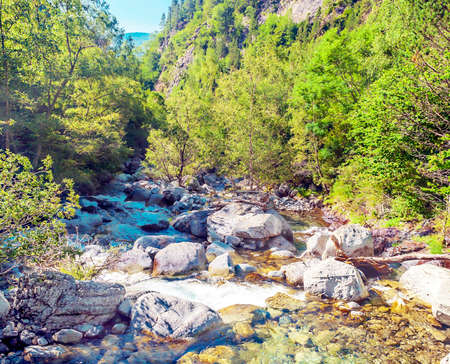 River in the Benasque valley in the Pyrenees mountainsの写真素材