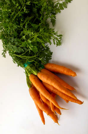 Bunch of carrots in white background