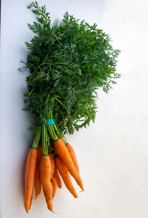 Bunch of carrots in white backgroundの写真素材