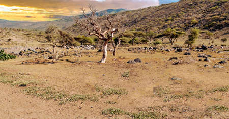 Ngorogoro valley in Tanzania in a cloudy day