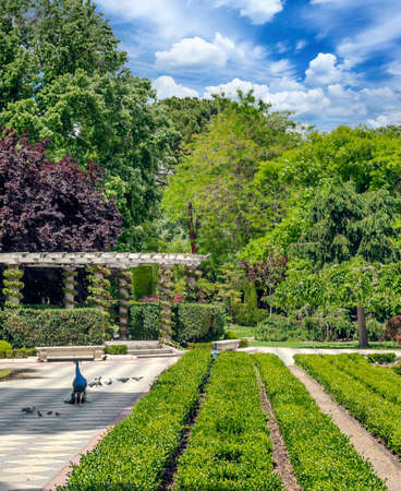 Parque del retiro in Madrid the capital of Spain in a sunny day