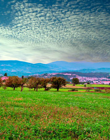Fields of Catalonia in the north of Spain in a sunny dayの写真素材