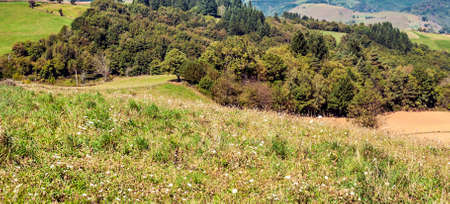 French agriculture in the valley in a suuny dayの写真素材