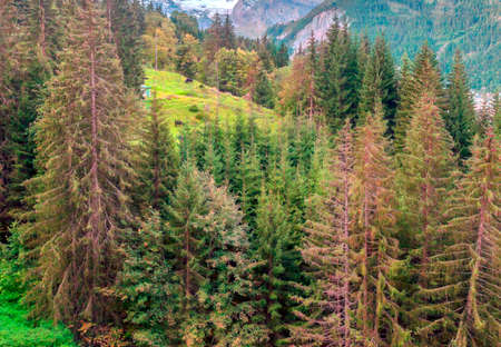 European alps in Switzerland in a cloudy day.の写真素材