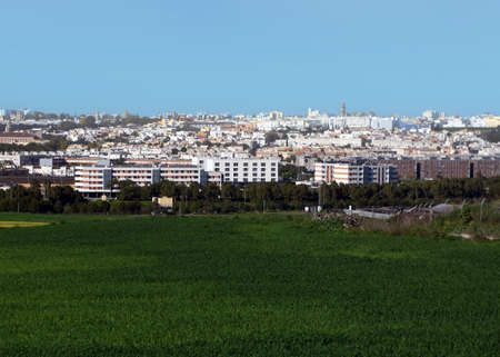 Fields of Jerez de la Frontera in the south of Spain in a sunny day.の写真素材