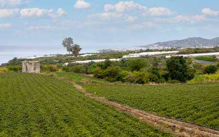 Andalusian agriculture in the coast of the sout of Spain in a spring day with clouds in the skya