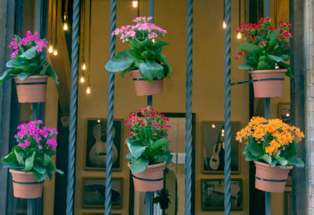 Pots in the windows of a house of Sevilla in the south of Spainの写真素材
