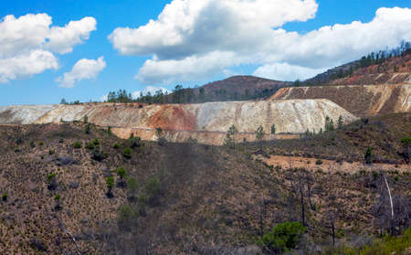 Forest of Huelva Province in a sunny day in the south of Spain