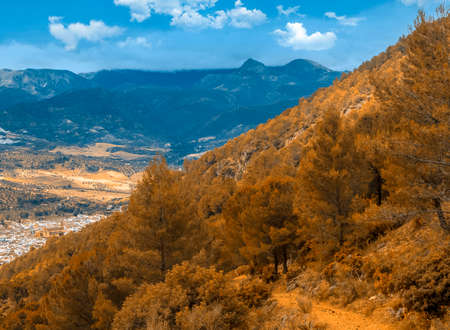 Village of white houses called Algodonales in the south of Spain. Its surrounded by mountains and forest.の写真素材