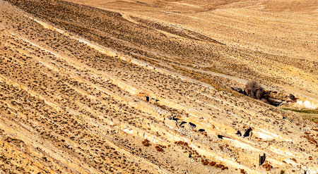 Desert of Shobak in Jordan in a sunny day