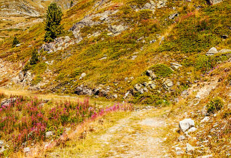 Mountains of the Swiss Alps in the Saint Luc valley on a sunny day.の写真素材