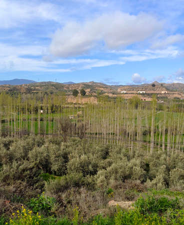 Purullena village in Granada province in springtime, you can see the houses surrounded by valley landscapeの写真素材