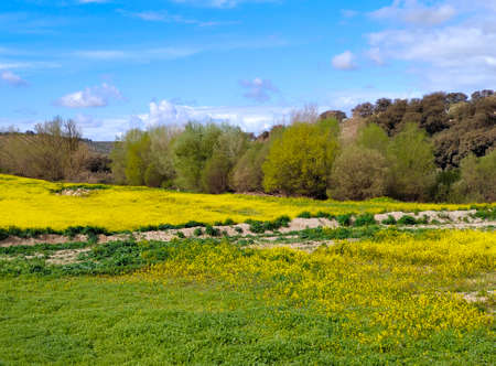 Meadows with mountains in Jaen province in springtimeの写真素材