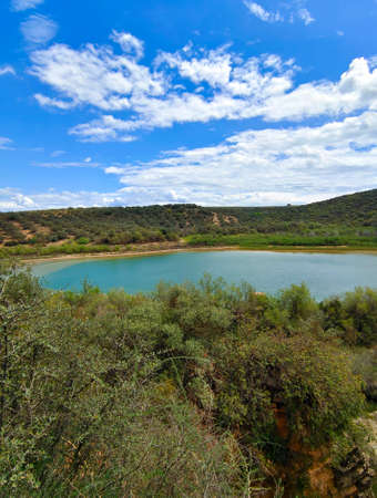Olive trees in Cordoba province in the springtimeの写真素材