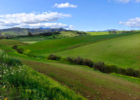 Meadows in Malaga province in springtimeの写真素材