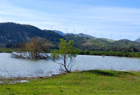 Lake in the meadows of Malaga province in the south of Span in a sunny dayの写真素材