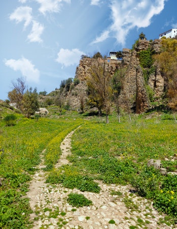 Meadows in Ronda in the south of Spain in the springtimeの写真素材