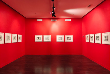 Malaga, Spain-Octuber 2022. Picasso Museum in Malaga province. You can see detail of cubism art.のeditorial素材