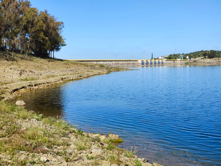 Lake in the meadows of Extremadura in the center of Spain in a sunny dayの写真素材