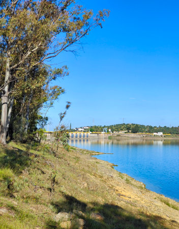 Lake in the meadows of Extremadura in the center of Spain in a sunny dayの写真素材