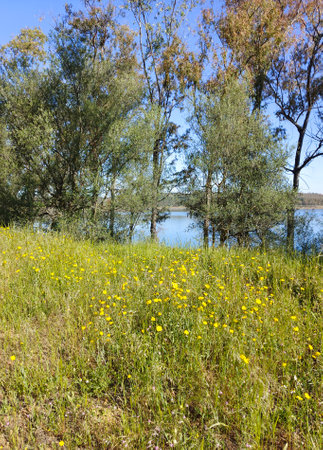 Lake in the meadows of Extremadura in the center of Spain in a sunny dayの写真素材