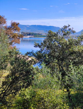 Lake in the meadows of Extremadura in the center of Spain in a sunny dayの写真素材