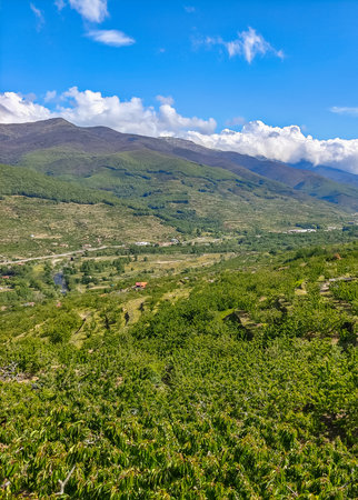 Mountains in the Jerte valley in the center of Spain in a cloudy dayの写真素材