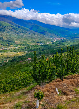 Mountains in the Jerte valley in the center of Spain in a cloudy dayの写真素材