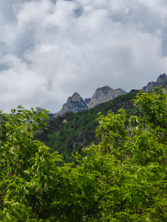 Mountain landscape with green trees and blue sky with clouds in summerの写真素材