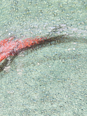 water drops on the glass as a background, closeup of photoの写真素材