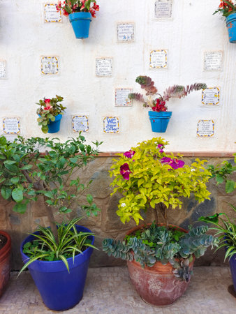 Street with flower pots in the south of Spain in a sunny dayの写真素材