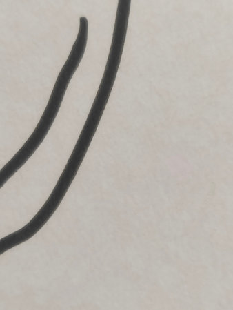 Abstract black line on white paper background. Close up. Copyspace.