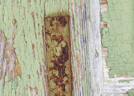 Wood texture forming a background