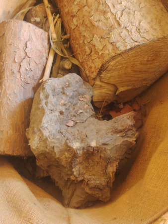 Close up of cork from a cork tree in a basket
