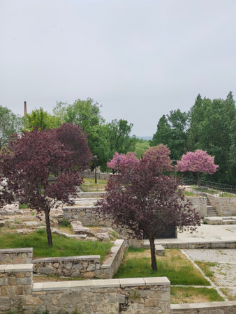 Town in Avila province in the center of Spain in a cloudy dayの写真素材