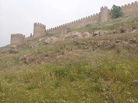 Town in Avila province in the center of Spain in a cloudy day