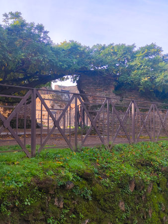 Via apia of ancient civilization in the center of romeの写真素材