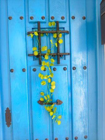 Wood texture forming a backgroundの写真素材