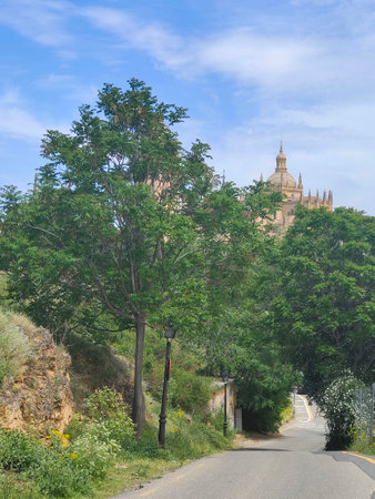 Trees in the hill of Segovia with medieval city in the ceter of Spainの写真素材