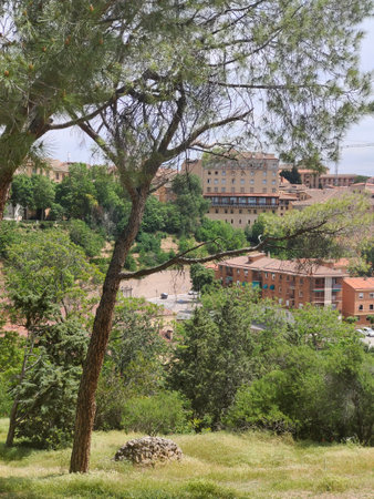 Trees in the hill of Segovia with medieval city in the ceter of Spainの写真素材