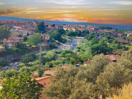 Trees in nature at sunset in the south of Spainの写真素材