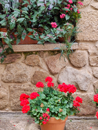 Flowers in the window of facade house in the south of Spainの写真素材