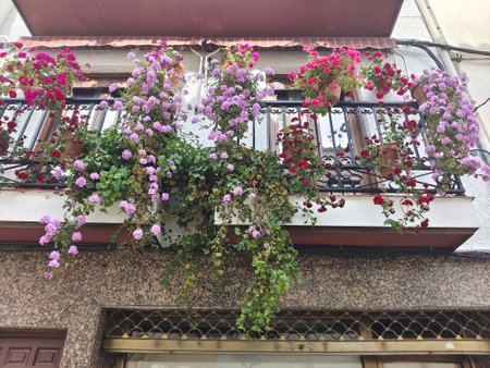 Flowers in the window of facade house in the south of Spainの写真素材