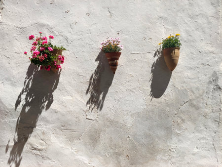 Flowers in facade of house in a sunny dayの写真素材